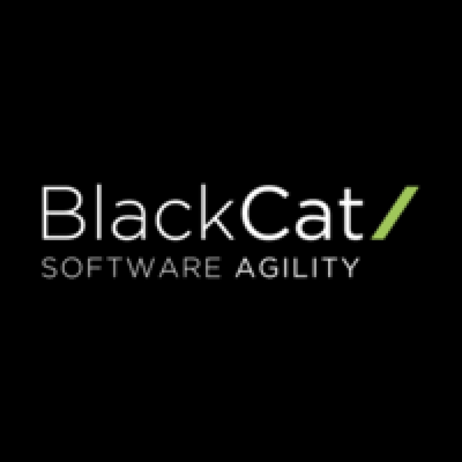 Blackcat Technology Solutions